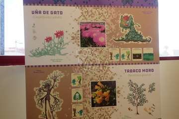 Una alumna del Colegio Hilda Zudán (Telde) gana el concurso escolar de dibujos de invertebrados/TA.